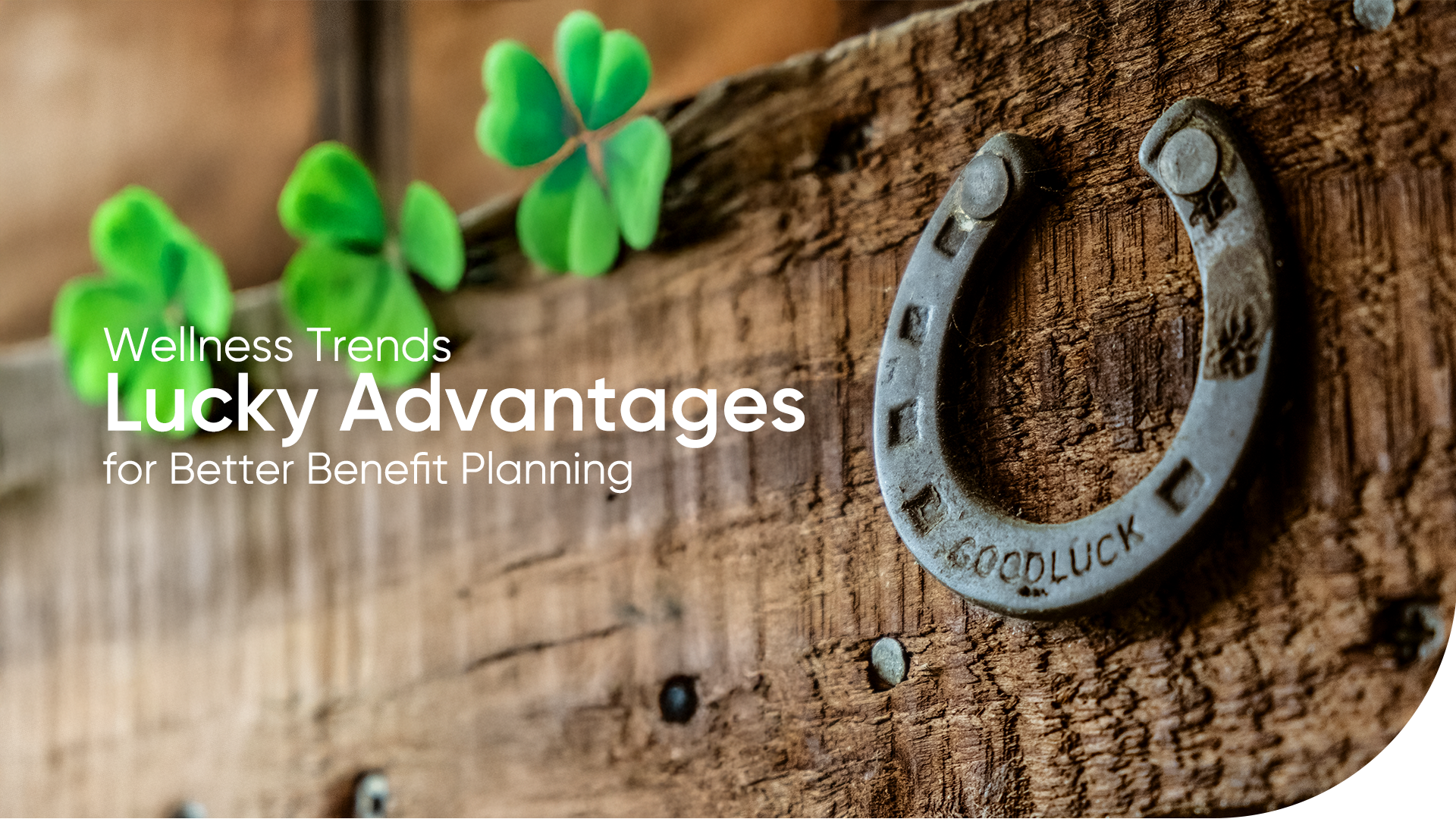 a horseshoe and four leaf clover on a wood surface